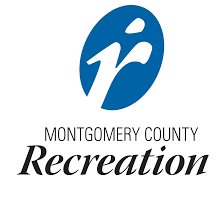 MoCo Rec